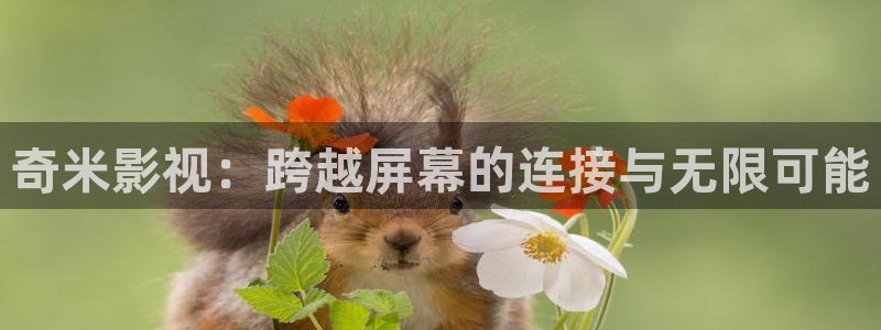九九影院电视剧播放：奇米影视：跨越屏幕的连接与无限可能