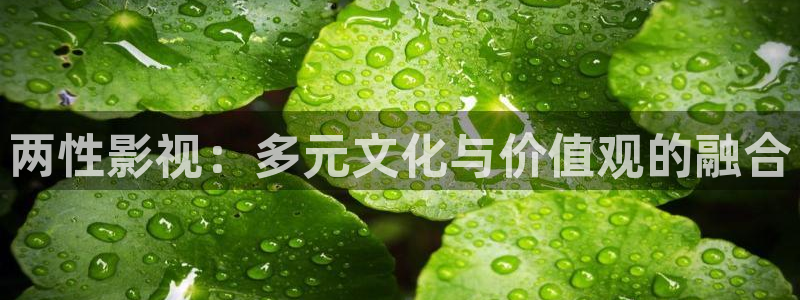 九九电视剧视频在线观看：两性影视：多元文化与价值观的融合