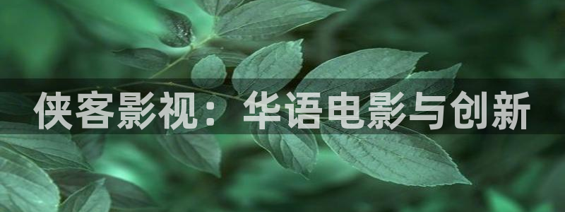 九九操视频：侠客影视：华语电影与创新