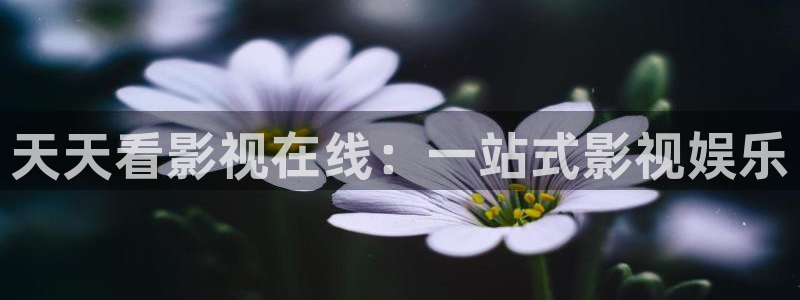九九在线视频免费观看：天天看影视在线：一站式影视娱乐