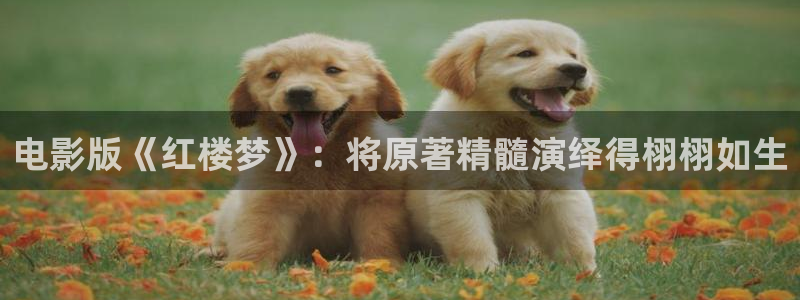 九九视频：电影版《红楼梦》：将原著精髓演绎得栩栩如生