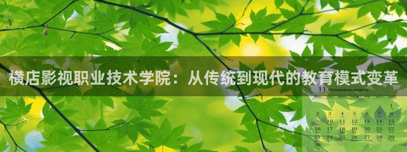 九九爱视频：横店影视职业技术学院：从传统到现代的教育模式变革