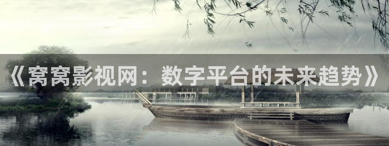 久久电影九九影院：《窝窝影视网：数字平台的未来趋势》