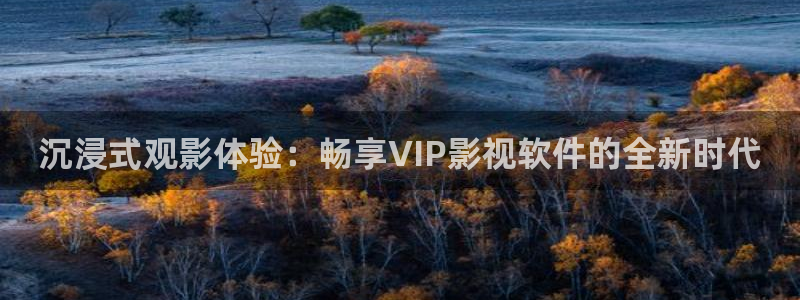 九九视频在线观看精品：沉浸式观影体验：畅享VIP影视软件的全新时代