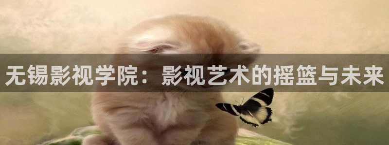 玖玖玖九九九999免费视频：无锡影视学院：影视艺术的摇篮与未来