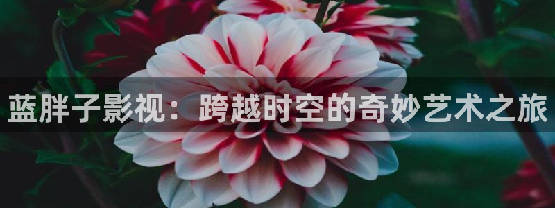 久九九久视频精品免费观看：蓝胖子影视：跨越时空的奇妙艺术之旅