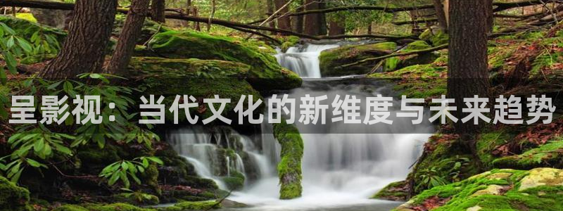 在线九九：呈影视：当代文化的新维度与未来趋势
