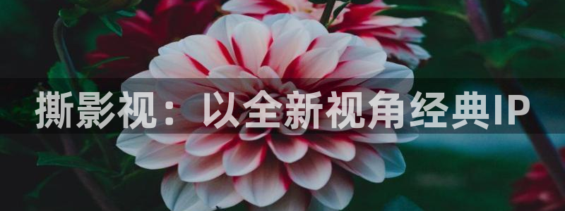 亚洲第一国产视频九九视频：撕影视：以全新视角经典IP